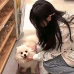 萌怪传说360平台下载